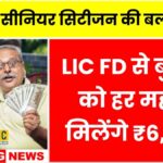 LIC New FD Scheme